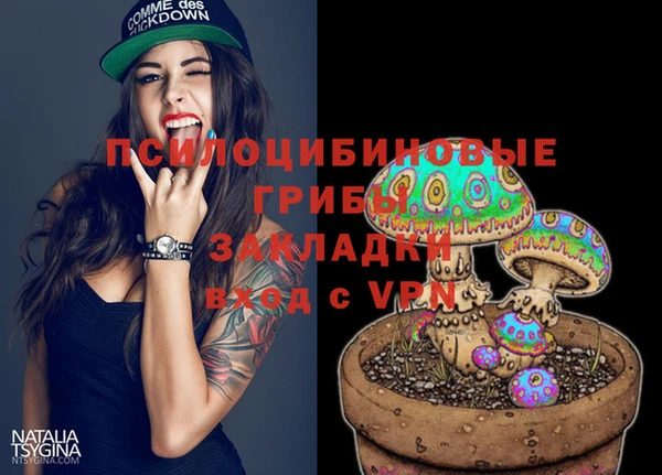 тгк Алексин