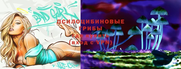 Альфа ПВП Алексеевка