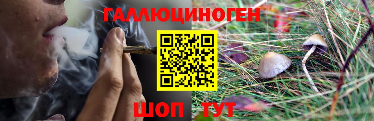 Псилоцибиновые грибы прущие грибы Тула
