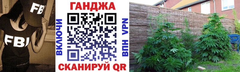 Шишки марихуана VHQ  где купить   дарк нет официальный сайт  Тула 